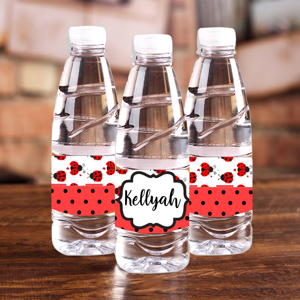 Personalised Ladybug Red Polka – обзор и цена Baby Food Mixer